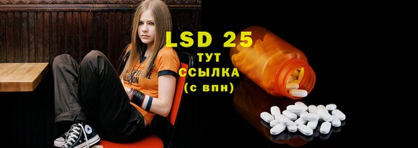 дживик Бронницы