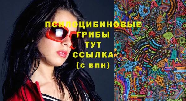 прущая мука Бородино