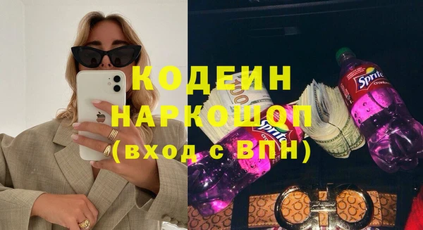 дживик Бронницы