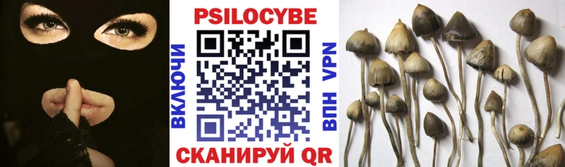 Галлюциногенные грибы MAGIC MUSHROOMS Липки